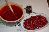 NOCLEGI KOŚCIERZYNA - AGROTURYSTYKA "GOŚCINA"