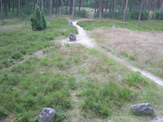 Stone circles - 4