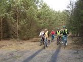 Fahrradstrecke von Kościerzyna ( Berent ) nach Wdzydze Kiszewskie - 4